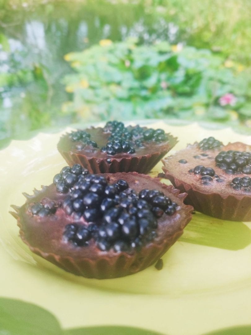 Raw Cacao Chocolates The Lovetarian Way Raw Cacao Chocolates The Lovetarian Way